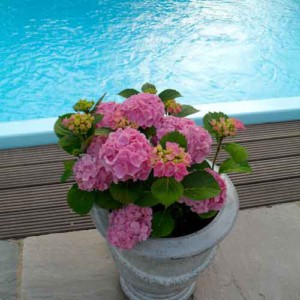 zwembad-project-leusden-sfeerdetail